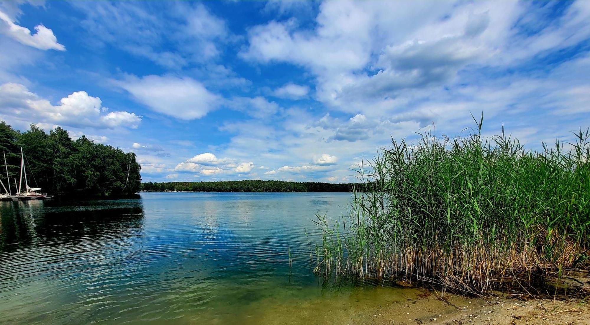 Ferienwohnung Seegluck Im Oberpfalzer Seenland Schwandorf in Bayern Extérieur photo